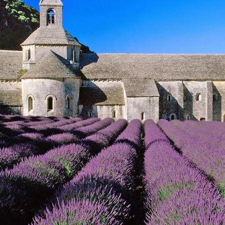 Villa In Provence With Infinity Pool